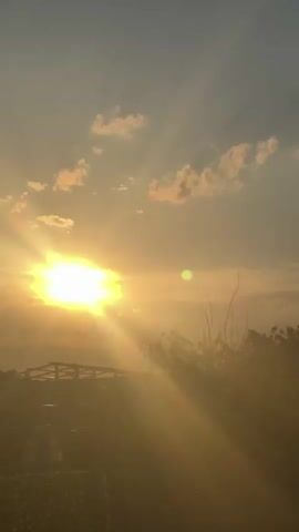 The video shows a sunset, with the sun low in the sky, shining brightly and casting golden light across the landscape.  There are some clouds in the sky, and the silhouettes of trees and buildings can be seen against the bright light.  Later in the video, a contrail from an airplane can be seen.