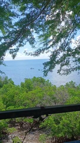 The video shows a view of a calm blue ocean with a boat in the distance. The shot is partially framed by lush green trees and a metal railing. The sky is blue with some clouds. The water appears slightly rippled, and the boat leaves a small wake behind it.