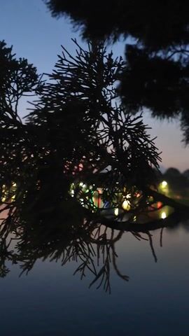 The camera focuses on a silhouette of a tree branch against the backdrop of a tranquil lake at dusk. The sky transitions from a deep blue to a soft pink, reflecting in the still water. The lights from buildings or structures across the lake create bright, elongated reflections. The scene is peaceful and serene, emphasizing the natural beauty of the water and sky juxtaposed against the man-made lights.