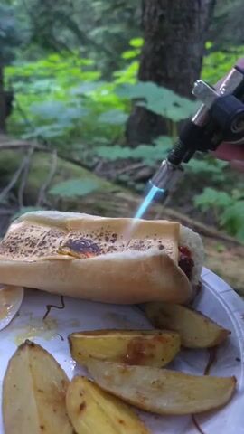 A close-up vertical shot shows a hot dog in a bun being torched on a paper plate with potato wedges. The bun appears to have melted cheese on top, and the torch is creating a browned, charred effect. The background is blurred green foliage and trees, suggesting an outdoor setting, possibly a forest. A hand is visible holding the torch.