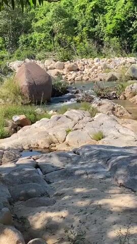 The video pans across a rocky riverbed on a sunny day. Lush green trees line the background. The foreground features large, rounded boulders and a shallow pool of water. The river itself is shallow with visible currents flowing between rocks. The overall scene depicts a natural, outdoor environment.