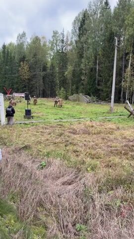 A group of people in military-style uniforms are participating in a reenactment in a grassy field surrounded by trees. Some individuals are moving while others appear to be observing. There is a speaker on a stand, a red structure with a "V" symbol, and what appears to be part of a vehicle or a military structure in the background. The ground is covered with dry grass and some patches of green. The sky is overcast. The reenactment seems to involve some kind of exercise or simulated combat.
