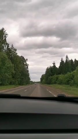 The video captures a first-person perspective from inside a moving car, looking out through the windshield. The dashboard is visible at the bottom of the frame. The car is traveling on a paved, two-lane road (one lane in each direction) through a rural or semi-rural area. The road is flanked on both sides by dense green trees and foliage, resembling a forest. The sky is overcast with heavy gray clouds, indicating a cloudy day. In the distance, other vehicles can be seen, with one car passing in the opposite direction early in the clip, and another car visible ahead traveling in the same direction. The road shoulders are unpaved, consisting of dirt or gravel, and white and red roadside markers are visible on the right side of the road. The scene suggests a journey through Beržiniai, Lithuania, on an ordinary, overcast day.