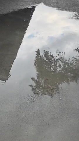 The video shows a puddle on an asphalt surface. The puddle reflects the sky, which includes clouds and patches of blue, as well as the silhouette of a tree.  The edge of a building is also reflected in the water. The asphalt surrounding the puddle is darker and textured. Small particles or debris are visible at the bottom of the puddle. The view is static and taken from a high angle.