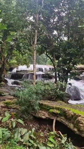 This is a vertical video of a waterfall in a lush, green forest. The water cascades over multiple rocky tiers, creating a series of small falls. Dense foliage, including trees and various plants, surrounds the waterfall. The ground in the foreground is covered with dirt, moss, and fallen logs. The overall impression is one of a natural, tranquil environment.