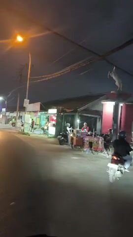 The video shows a nighttime scene from the perspective of someone on a moving vehicle, likely a motorcycle or scooter. The camera is pointed forward, capturing a street with a few buildings and trees on either side. Several people and vehicles are visible, including:

- In the first few seconds, a stall with colorful umbrellas and a vehicle that appears to be a food cart is visible. People are gathered around it, and there is a person on a motorcycle.

- Further down the street, there is a pink building with a statue on top.

- A yellow sign is visible on the side of the road.

- A maroon van is parked on the side of the road.

- A few motorbikes are seen on the street.

The lighting is provided by streetlights and the lights from the buildings and stalls. The overall atmosphere appears to be that of a local street scene at night, possibly a marketplace or residential area. The movement of the camera creates a sense of travel through the area.