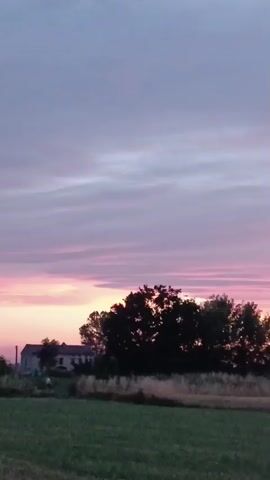 A video shows a rural landscape during sunset. The sky is filled with streaks of pink and purple clouds, transitioning to a soft yellow glow near the horizon. In the middle ground, a line of silhouetted trees stands against the colorful sky. To the left of the trees, a building, possibly a house or barn, is partially visible. The foreground consists of a field of green grass, with a strip of dry, yellowish vegetation separating it from the trees. The video is a static shot, with no movement or people visible.