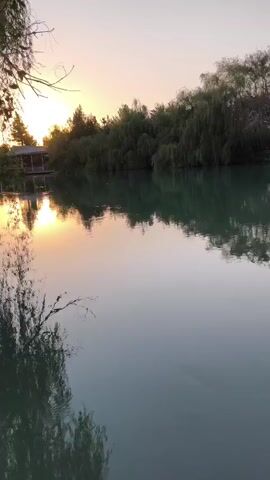 The video shows a body of water reflecting trees and a sunset sky. The water is calm and a soft pastel color. The trees on the far bank are dense and green, with some appearing to be weeping willows. The sun is low on the horizon, casting a warm glow on the scene. There is a small structure on the left side of the frame, possibly a dock or a small building. The water appears to be clear.