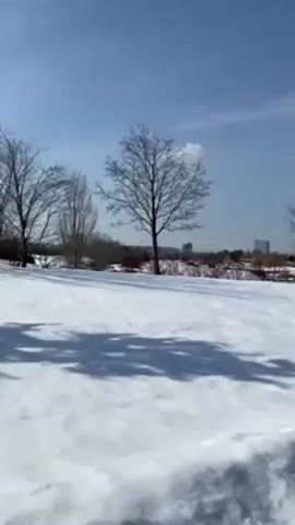 The camera pans across a snow-covered field towards a cityscape under a bright blue sky with sparse clouds. There are several bare trees dotting the field and casting shadows on the snow. In the distance, a modern building with a distinctive angled design stands out among the residential and commercial structures. The foreground features a snow-lined pathway.