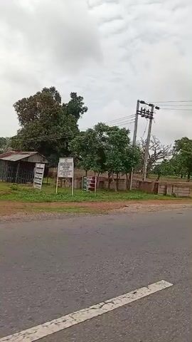 A vertical, shaky video shot from a moving vehicle shows a roadside scene. The left side of the screen displays trees, a sign, and a fence made of what appears to be concrete blocks. A utility pole with wires is visible on the right. The ground is a mixture of dirt and grass. Further into the scene, more trees and what look like thatched-roof huts are visible in the distance. The road surface in the foreground is asphalt. The sky is overcast.