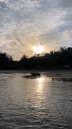 Surfer enters ocean at Weligama beach during golden hour