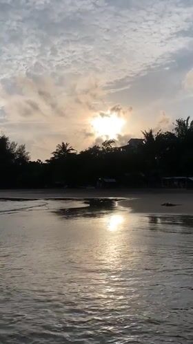 Surfer enters ocean at Weligama beach during golden hour