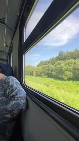 The video shows the interior of a train car, looking out the window. A person wearing a blue and white patterned shirt is visible in the foreground, leaning their head on their hand and looking out the window. Outside the window, a blurry landscape of green fields and trees under a blue sky with some clouds is passing by. A utility pole is also visible outside the window. The train appears to be moving.
