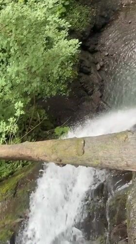Afternoon at a Plastunka waterfall with pigs, dogs, and forest trails