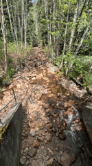 Rocky forest stream captured on video in Coquitlam