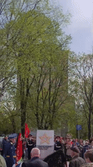Memorial ceremony with military personnel, vintage cars, families observed