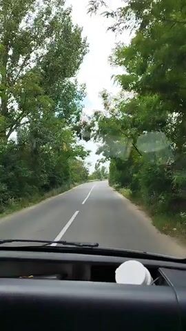 The video shows a view from inside a vehicle, looking forward through the windshield. A two-lane asphalt road is visible, curving to the left and slightly uphill. A solid white line divides the lanes. Lush green trees and foliage line both sides of the road, forming a canopy overhead in places. The sky is partly cloudy. The dashboard of the vehicle is visible in the foreground, with a white object, possibly a lid or cap, on the right side. The video appears to capture a scenic drive through a rural or natural setting.