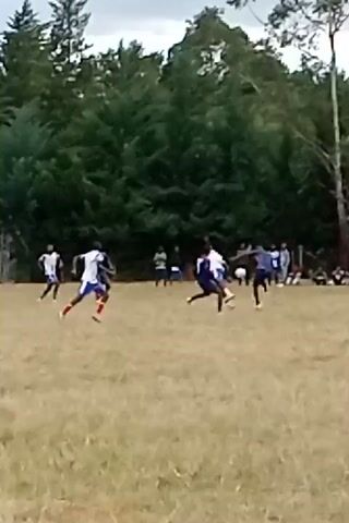 The video depicts a soccer game in progress. Several players, dressed in white and blue uniforms, are actively engaged in the game, chasing the ball. Their opponents are wearing navy blue uniforms. A group of spectators are visible in the background. The game is being played on a grass field. Tall trees form a backdrop to the scene. The weather appears to be overcast.