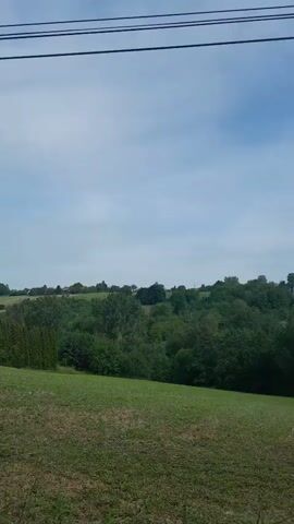 A video captures a view from a moving vehicle looking out at a rural landscape. The foreground consists of a field with patchy green grass and some dry vegetation. Beyond this field, a dense line of green trees forms a natural barrier. In the distance, rolling hills are visible, dotted with more trees and some scattered buildings, possibly houses or farm structures. The sky above is a pale blue with some wispy white clouds. Overhead, a series of dark, thin wires stretch across the frame, suggesting the presence of power lines or similar infrastructure. The overall impression is of a serene, bucolic countryside scene.