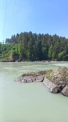 The video captures a wide view of a river flowing through a forested landscape on a clear, sunny day. In the foreground, a rocky outcrop juts out of the milky-green water. The river appears to be fast-flowing, with visible ripples and currents around the rocks. The far bank of the river is densely covered with tall, green coniferous trees, forming a lush forest that extends up a gentle slope. In the distance, the river widens and curves, with more forested hills visible under a bright blue sky. Power lines are faintly visible stretching across the top left portion of the frame.