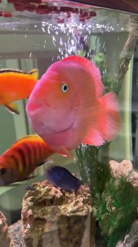 A styled urban morning: fish tanks, murals, markets, and street looks.