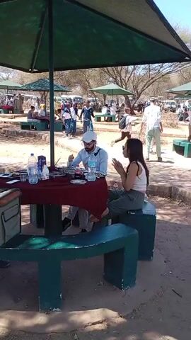 A sunny day scene captures a bustling outdoor picnic area, filled with people.  In the foreground, a couple sits at a red-covered table with food and drinks.  In the background, many individuals are seen, some sitting at picnic tables under green shade umbrellas, while others are walking around. The picnic area is interspersed with sparse trees and sandy patches. The overall impression is one of a lively gathering in a natural setting.