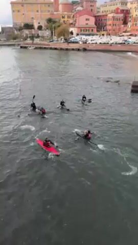 The video shows a game of kayak polo being played in a harbor or river. Six people in kayaks, some black and one red, paddle around a floating ball near a net. They use paddles to hit the ball in an attempt to score. The background includes buildings and parked boats.