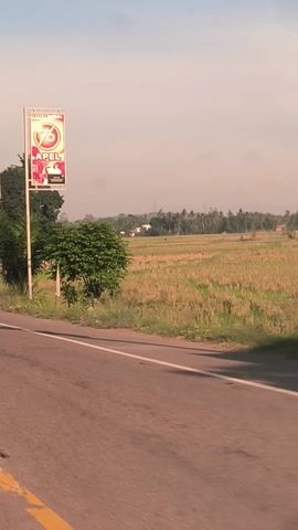 The video captures a view from a moving vehicle driving along a road in Bateiiliek, Indonesia. The main subjects are a series of at least five identical billboards erected sequentially along the right side of the road. Each billboard prominently displays an advertisement featuring the number "76" within a red circle, accompanied by the word "APEL" in bold, capital letters. The dominant colors of the advertisement are red, white, and black. Below "APEL," smaller text, possibly "PANGAN," can be discerned.

Behind the billboards, the landscape consists of various trees, including palm trees, and open grassy areas or agricultural fields stretching into the distance. A white, diamond-shaped road sign is visible between two of the billboards. The asphalt road features a distinct yellow line marking its edge. The sky is bright but hazy, indicating daytime conditions, likely morning or late afternoon. The setting appears to be a rural or semi-rural area.