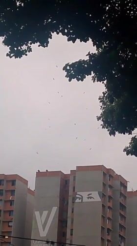 Overcast conditions and falling objects observed in Caracas