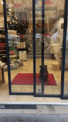 Street musician performs acoustic guitar in central Paris shops