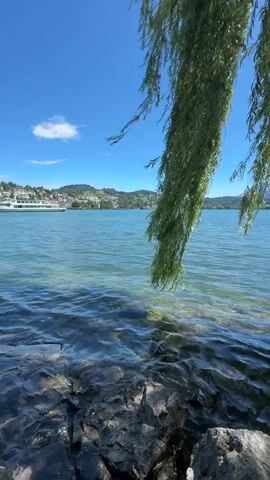 A video shows a body of water with a clear blue sky overhead and a weeping willow tree branch in the foreground. A white boat is visible in the distance on the lake, and a town or city is situated on the hills beyond. The water is clear enough to see the rocky bottom near the shore. The sun is shining brightly, casting shadows and highlighting the ripples on the water. The overall impression is one of a peaceful, scenic day by the lake.