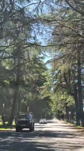 Vehicle drives through tree-lined road in Achadara, Abkhazia