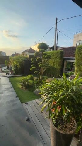 The video presents an exterior view of a landscaped garden or courtyard, likely in a tropical or subtropical region given the vegetation.  The area is primarily green, featuring manicured lawns, a variety of plants, and a pruned tree centrally located within the frame.  The landscaping includes rocks or boulders placed amongst the foliage. 

There is a paved pathway made of large, rectangular stones that leads through the courtyard.  To one side, there is a wooden deck or platform with outdoor furniture, including a low table and cushioned seating. In the background, there are buildings including structures with red-tiled roofs and other buildings with lighter colored walls. Overhead, power lines are visible against the blue sky with the sun shining brightly.

Two people are visible. One is walking away from the camera along the stone pathway. The other is lying on a lounger in the sun.