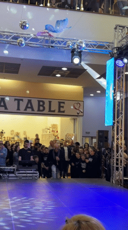 Live concert staged at Pleven shopping mall draws crowds