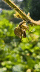 Early morning wildlife observation session documented in Asan-si, South Korea