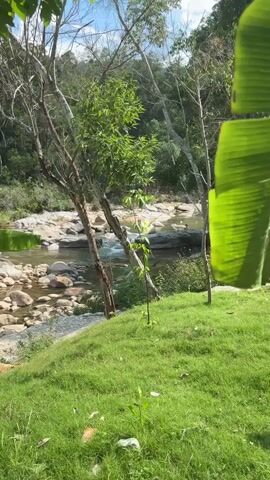 The video shows a body of water, possibly a river, flowing over rocks. The water is clear and reflects the sunlight. The banks of the river are lined with rocks and vegetation, including trees and grass. There are some people visible in the water, appearing to be wading or swimming. The overall scene is natural and serene.