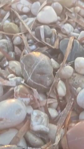A close-up, low-angle shot shows a rocky beach with pebbles and dried seaweed. Sunlight glints off the wet stones and the surface of the water in the background. In the foreground, a black tire is partially visible, its edge resting on the pebbles. The camera pans slightly upwards, revealing the wavy ocean with sunlight reflecting on its surface.