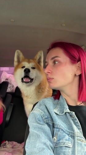 Pink-haired woman travels with dog, child in rainy Kamyennoye