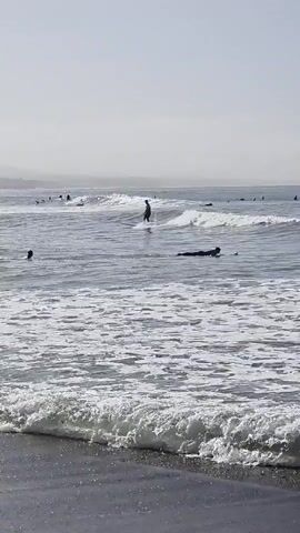 The media file depicts a scenic ocean view with several surfers in the water. The scene is set at Dana Point, California, under a hazy, overcast sky, suggesting either early morning or a foggy day. The waves appear to be of moderate size, suitable for surfing.

The primary subjects are the surfers, scattered across the water, some actively riding waves and others paddling or waiting. One surfer is prominently featured in the foreground, skillfully maneuvering a wave. Other surfers are visible in the mid-ground and background, appearing as dark silhouettes against the water. There are also several surfboards visible, some being ridden and others lying flat on the water.

The setting is a beach, with the ocean stretching towards the horizon. In the distance, a hazy coastline with hills is visible, hinting at the surrounding landscape of Dana Point. The water is a mix of dark blue and white foam, with the breaking waves creating a dynamic visual element. The overall mood is one of relaxed outdoor activity, capturing the essence of a day at the beach. No text is visible in the media file.