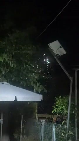 A solar-powered street light illuminates a nighttime scene. Tiny specks, likely insects, are drawn to the light, creating a shimmering effect in the air. To the left, a white umbrella partially obscures a dark background. A metal fence runs along the bottom of the frame, separating the foreground from more trees and vegetation in the distance. The sky is dark, suggesting it is well past sunset.