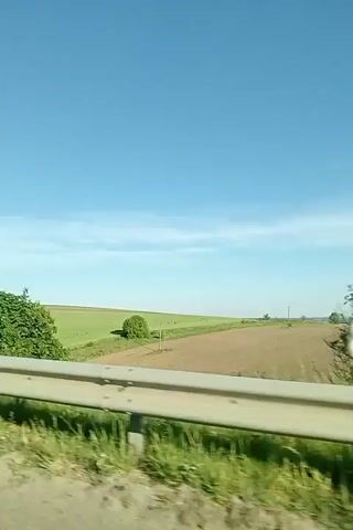 The video depicts a view from a moving vehicle, likely a car, traveling along a road next to a field. The sky is bright blue with some wispy clouds. A guardrail runs along the roadside. The field transitions from a brown color to vibrant green as the vehicle moves. Vegetation including green grass and trees grows along the side of the road and partially obscures the view of the field.