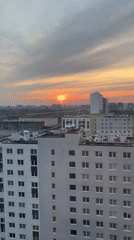 Sunset and cat moments captured in Vsevolozhsk, Russia