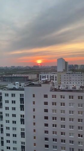 Sunset and cat moments captured in Vsevolozhsk, Russia
