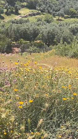 Motorcycle journey documents rural Morocco landscapes and village scenes