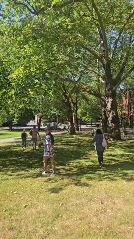 A group of people are walking or running away from the camera in a park. The ground is covered in grass and there are large trees with green leaves overhead, casting shadows. The people are of varying heights and ages, and some are wearing casual clothing. The sun is shining, creating a bright and pleasant atmosphere. In the background, there are buildings and more trees.
