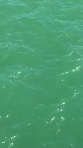 The video shows a close-up view of green water with small waves. The sunlight reflects on the surface, creating bright glimmers. There are no visible objects or people in the frame. The camera appears still, focusing solely on the water's movement.