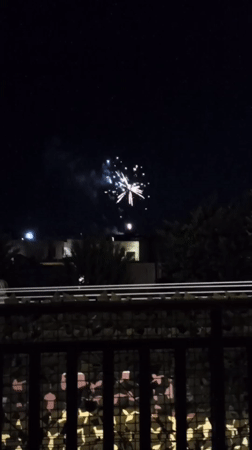 Fireworks burst over Bitonto's night skyline