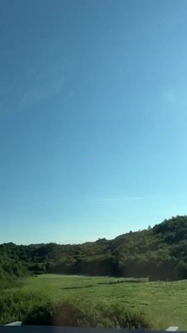 A vertical shot captures a bright blue sky with a faint contrail stretching horizontally. Below, a lush green landscape unfolds with rolling hills covered in dense trees. A patch of bright green grass is visible in the valley. In the foreground, a metal guardrail runs along the bottom of the frame, and the top edge of a white vehicle is visible on the left. The sunlight casts a bright glare on the right side of the sky.