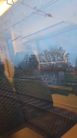 The video shows a view from inside a moving train looking out the window. The window is reflective, showing the interior of the train, including yellow overhead lights, handrails, and patterned seats. Outside the window, trees without leaves and buildings can be seen as the train passes by.  The sky is overcast. The train tracks are visible in the foreground.
