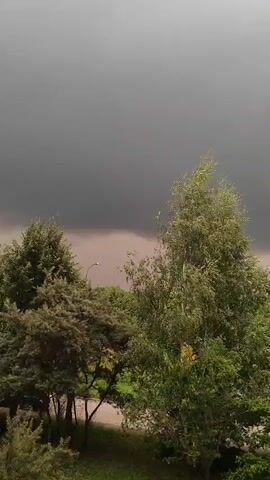 A high-angle shot shows a dense canopy of green trees against a dark, stormy sky. The trees are lush and varied in their foliage, with some appearing taller and more slender than others. In the distance, a tall, white structure, possibly a tower or a spire, pierces the ominous clouds. The overall atmosphere is moody and dramatic, hinting at an impending storm.